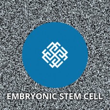 EMBRYONIC STEM CELL